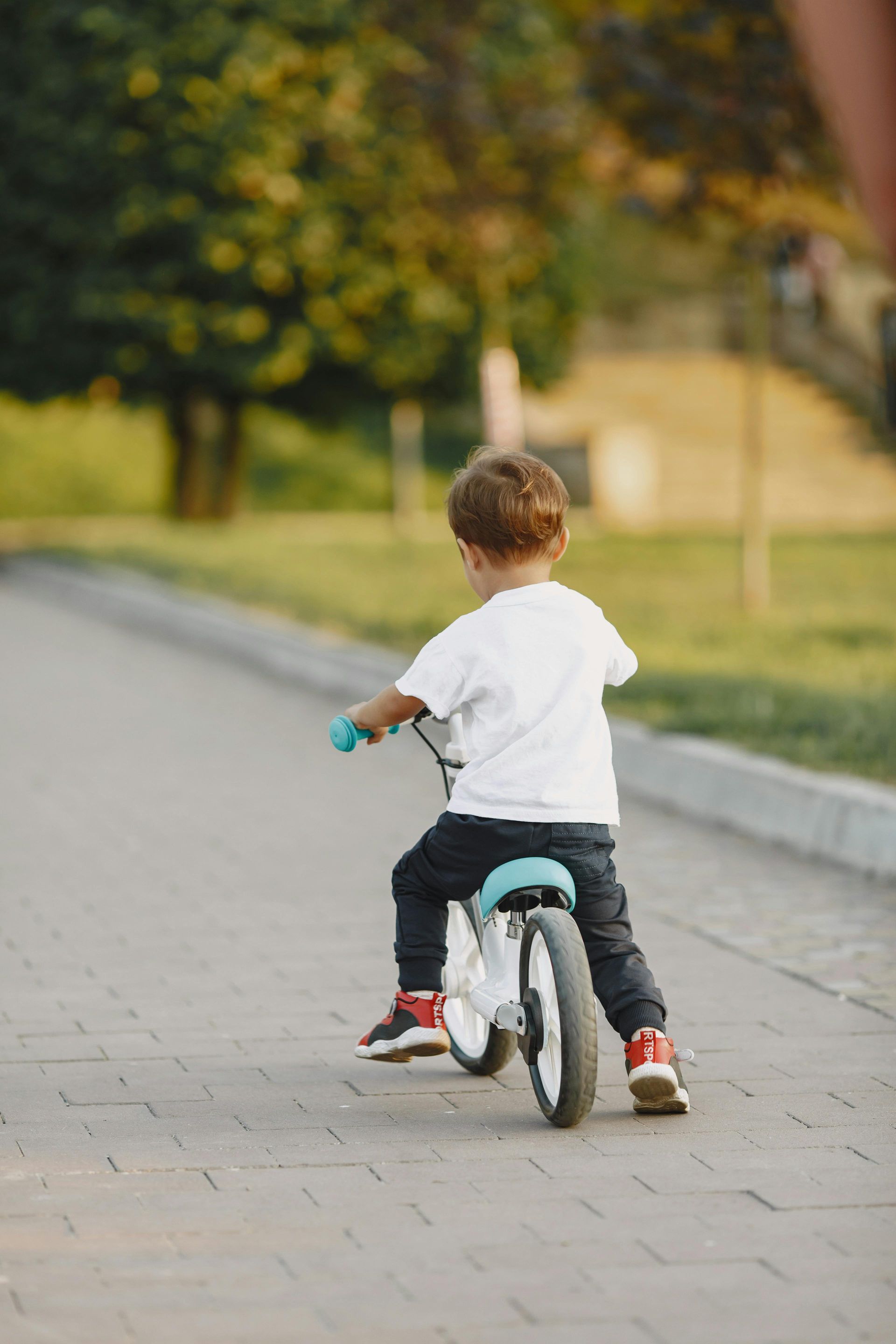 Child riding a small bike on a paved path beside a grassy park area, seen from behind.