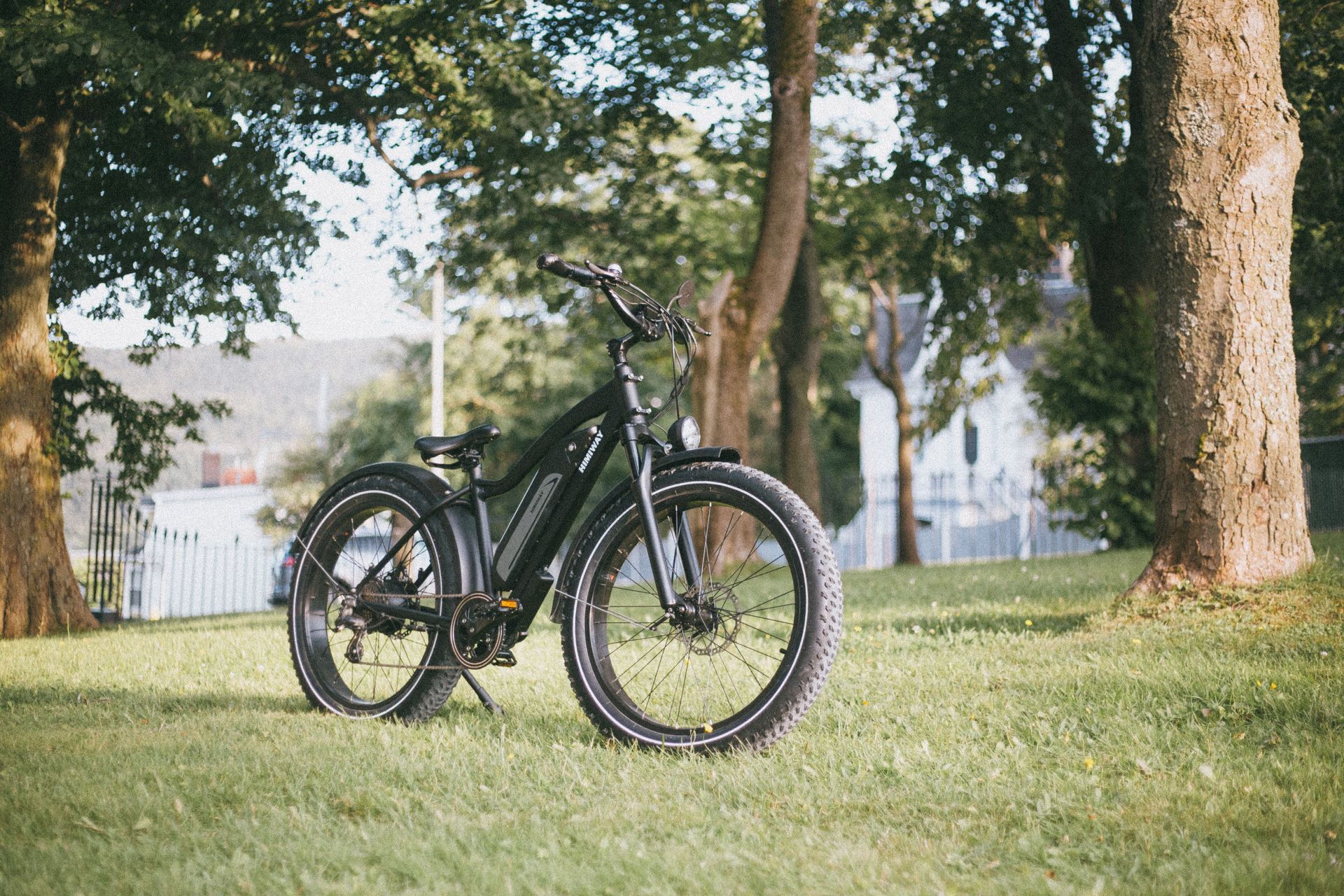 Black electric bicycle parked on grass in a tree-lined park