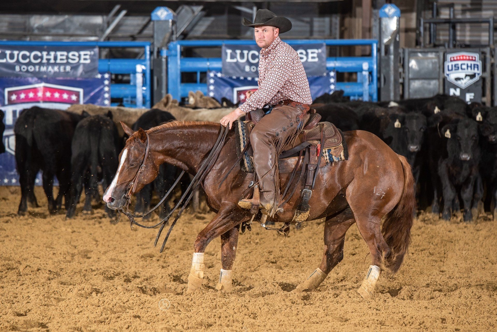 Diamond C Farm Paul Wasyln