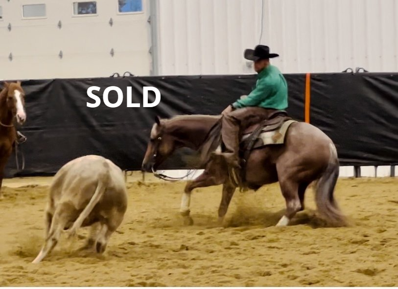 Diamond C Farm Sales 5