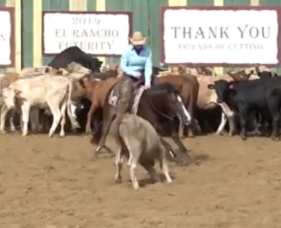 Diamond C Farm sold