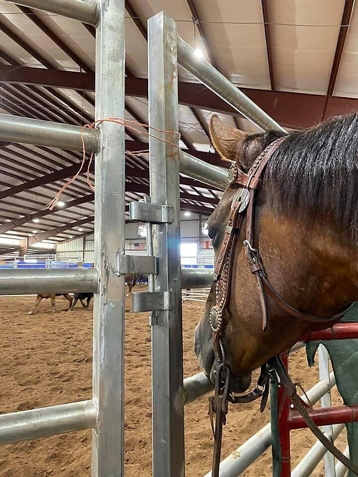 Diamond C Farm pen