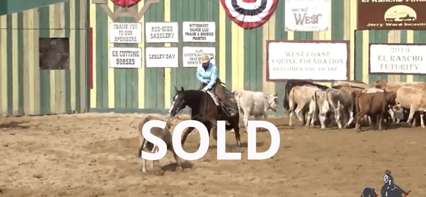 Diamond C Farm Sales 1