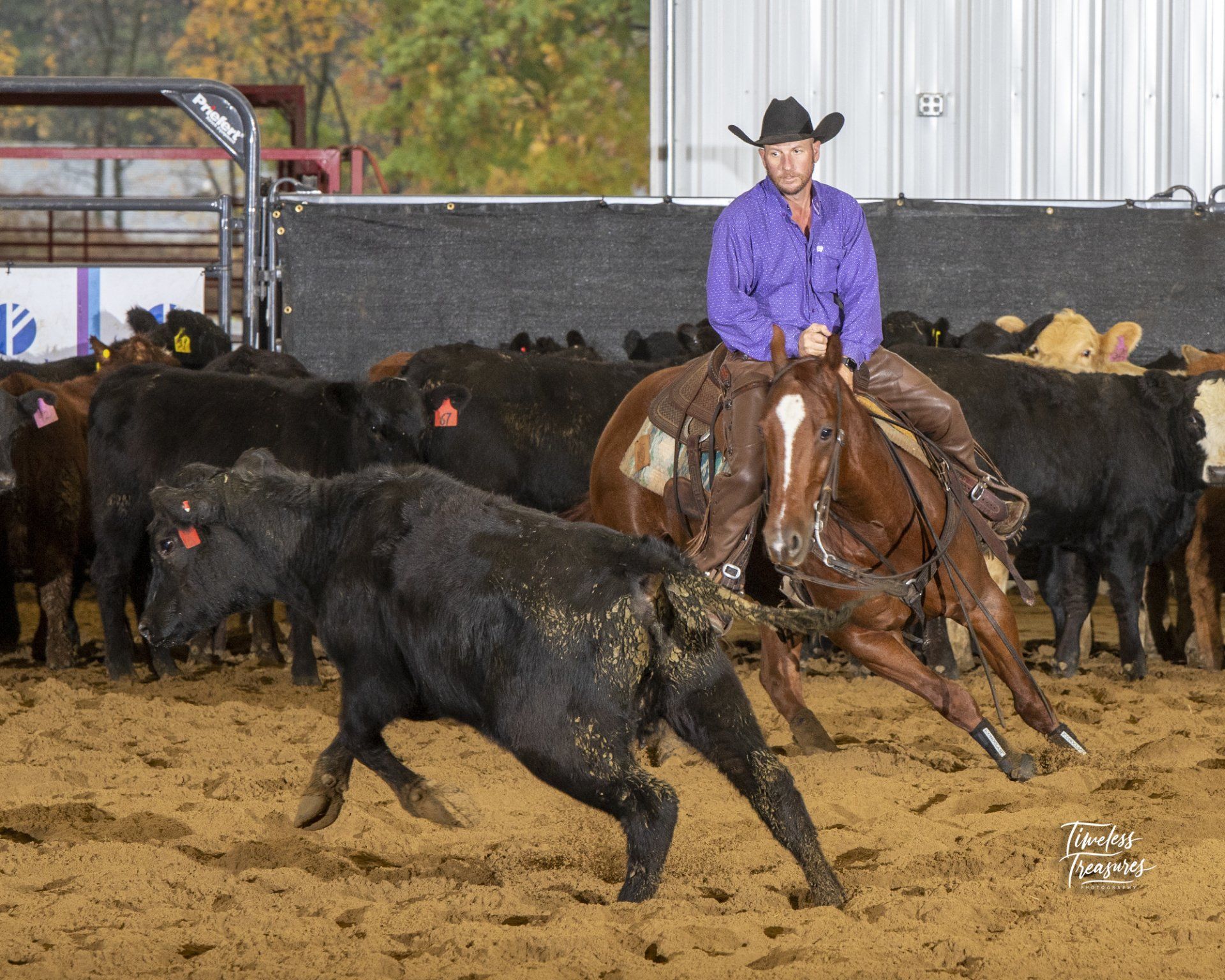 Diamond C Farm