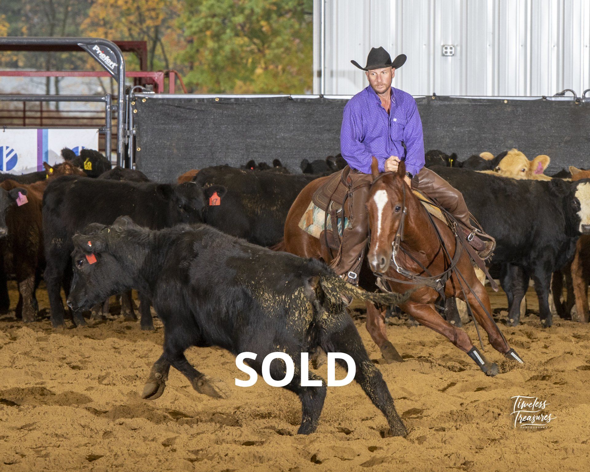 Diamond C Farm 127 McNeely