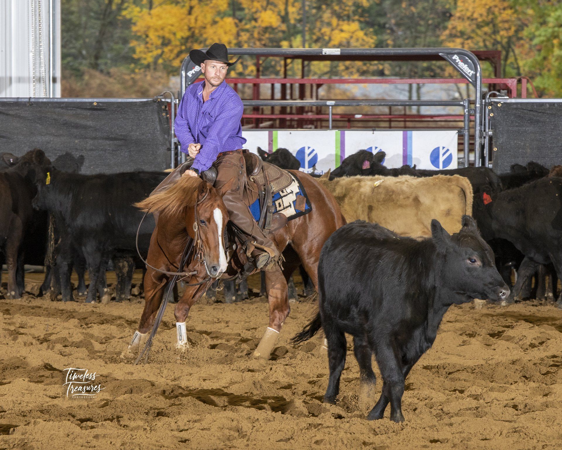 Diamond C Farm