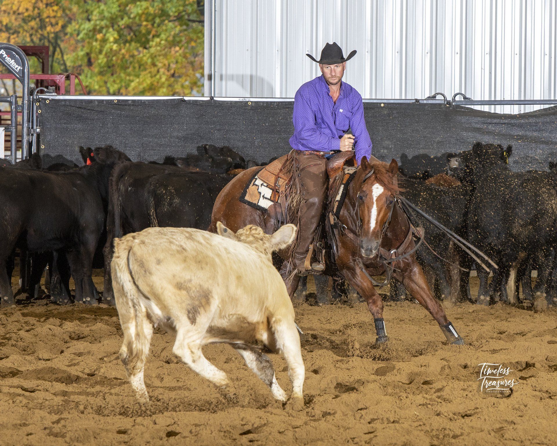 Diamond C Farm