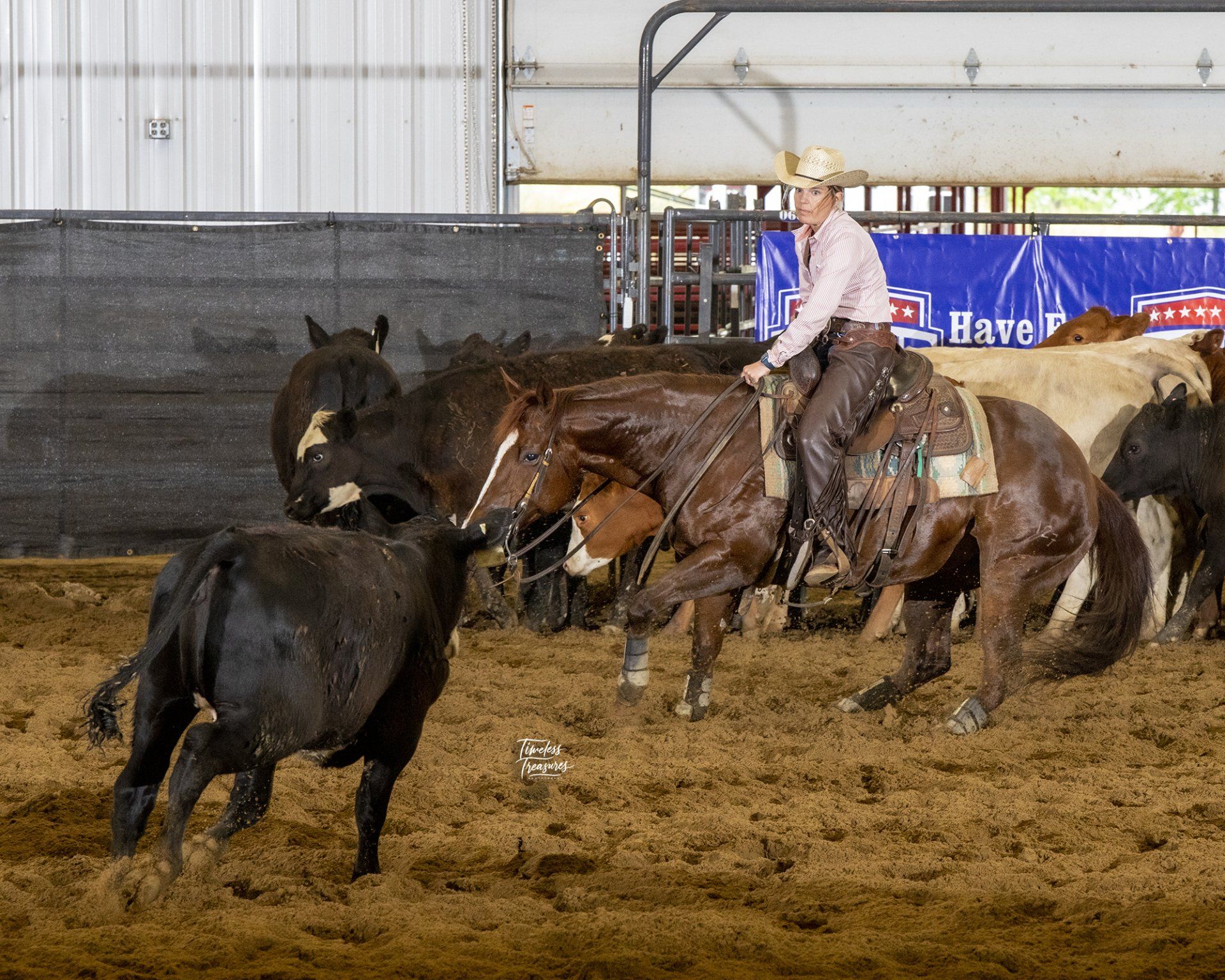 Diamond C Farm cutting show