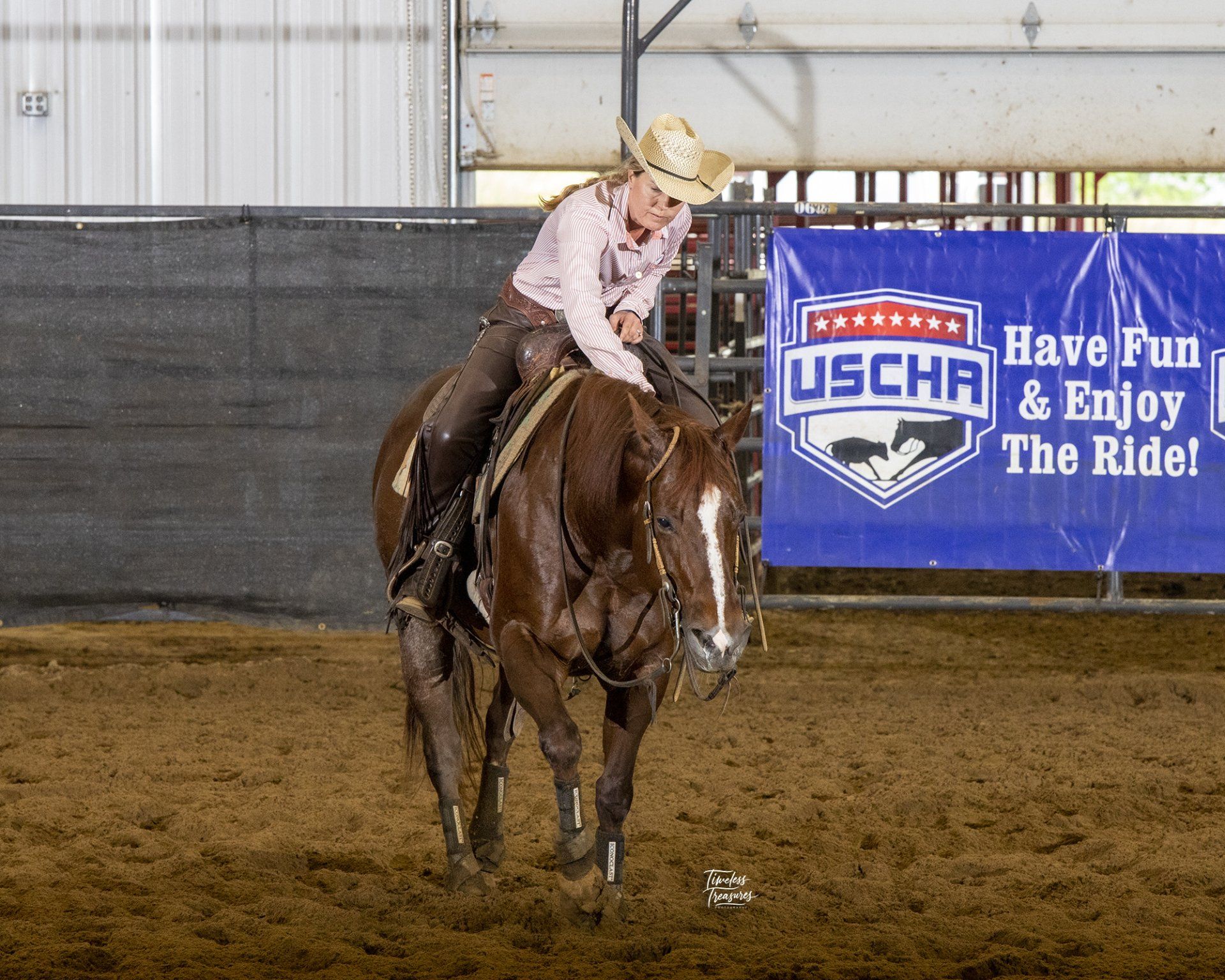 Diamond C Farm Caroline McNeely