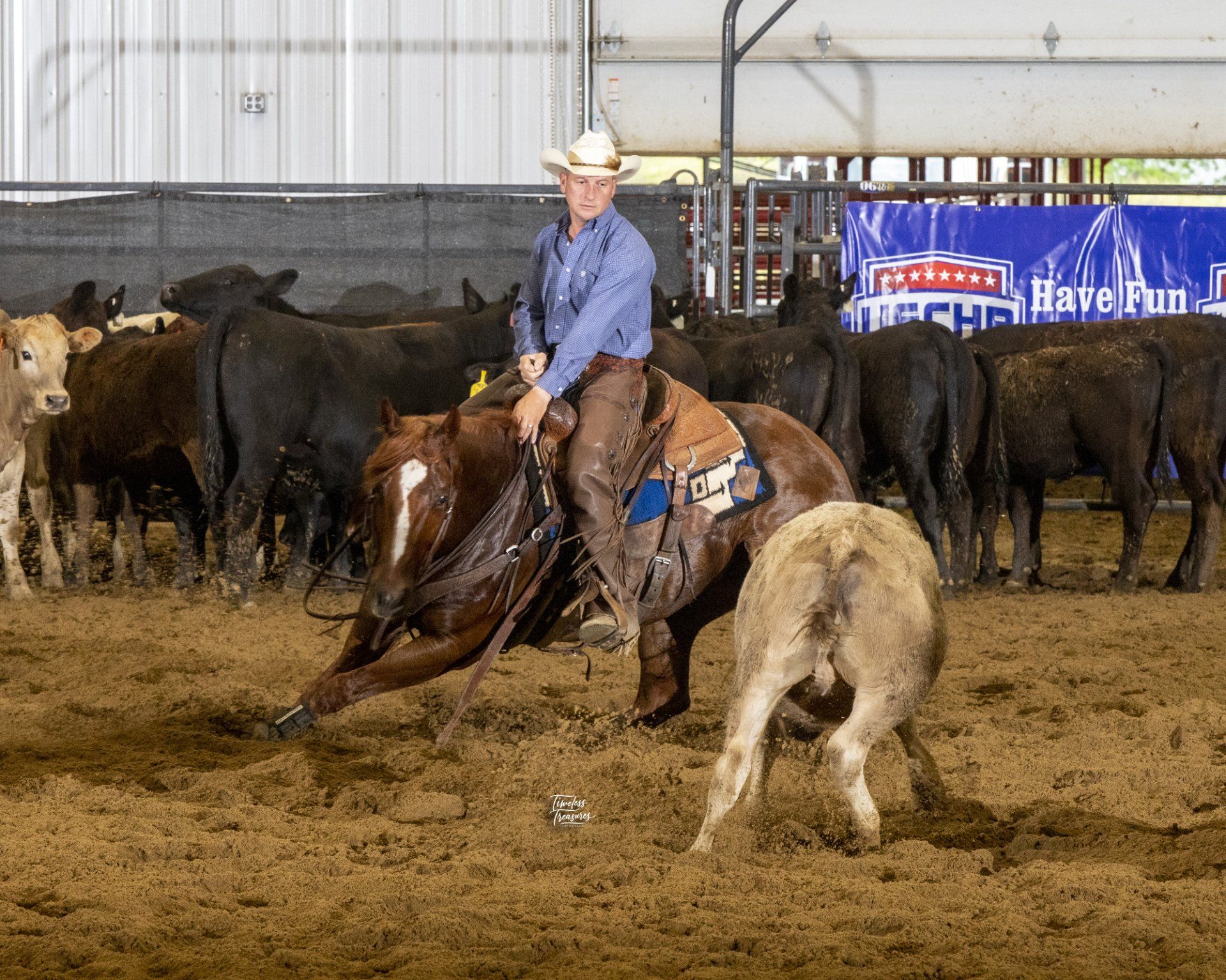 Diamond C Farm Paul Wasyln
