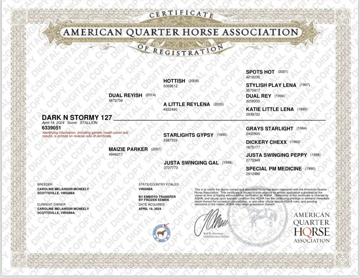 Diamond C Farm 127 Performance Horses