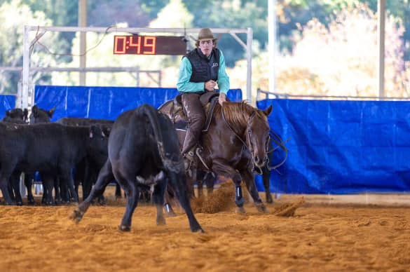 diamond c farm non pro champ