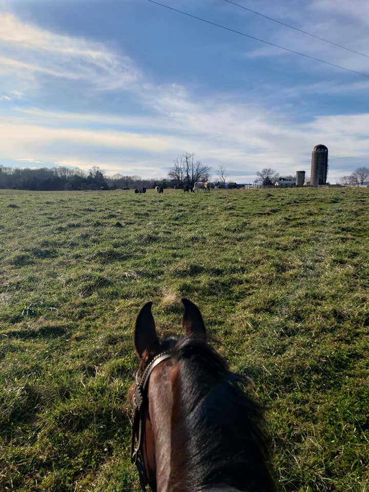 Diamond C Farm