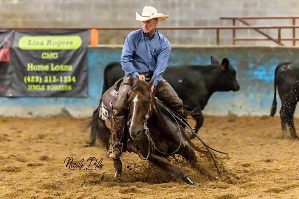 Diamond C Farm cutting horse