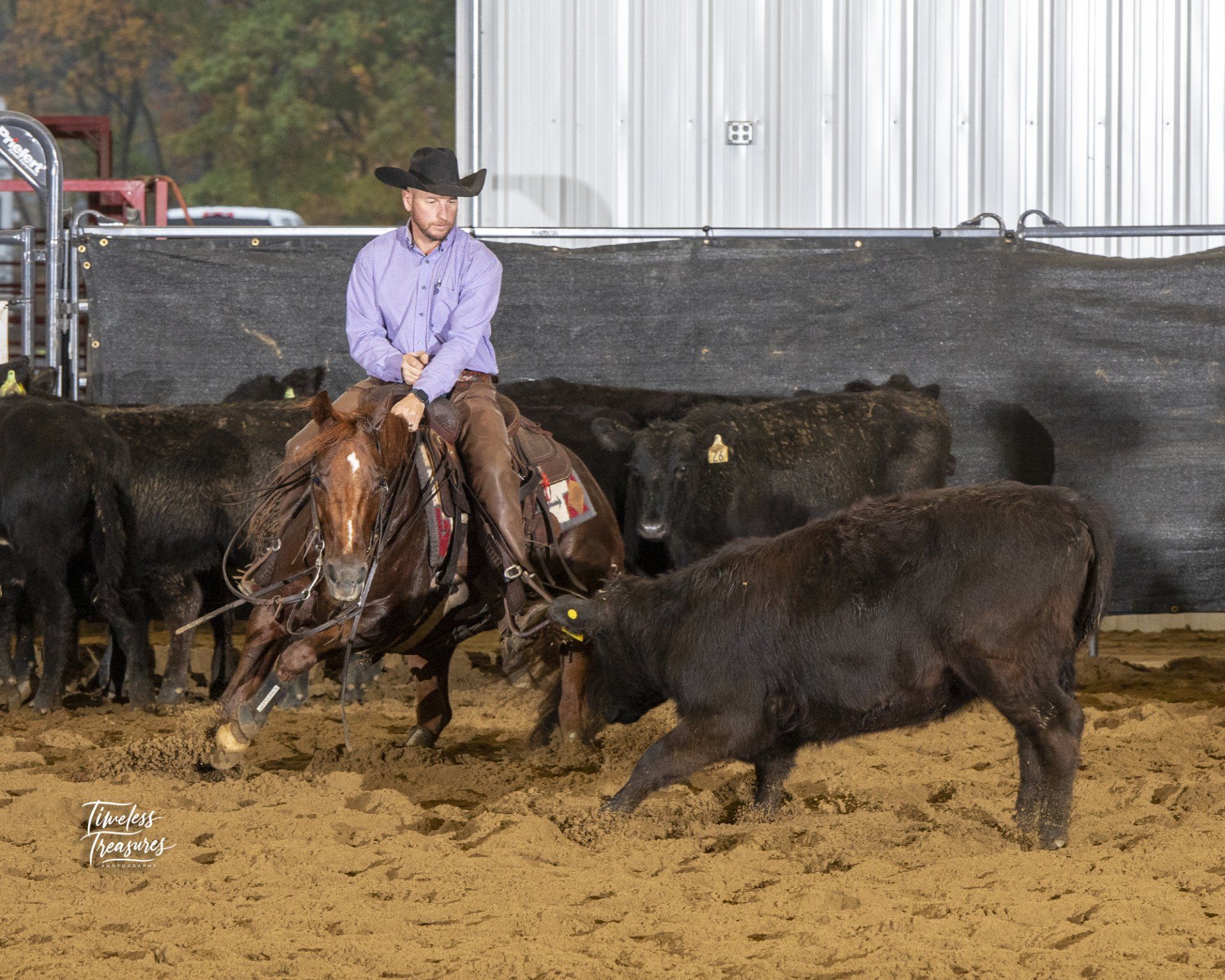 Diamond C Farm
