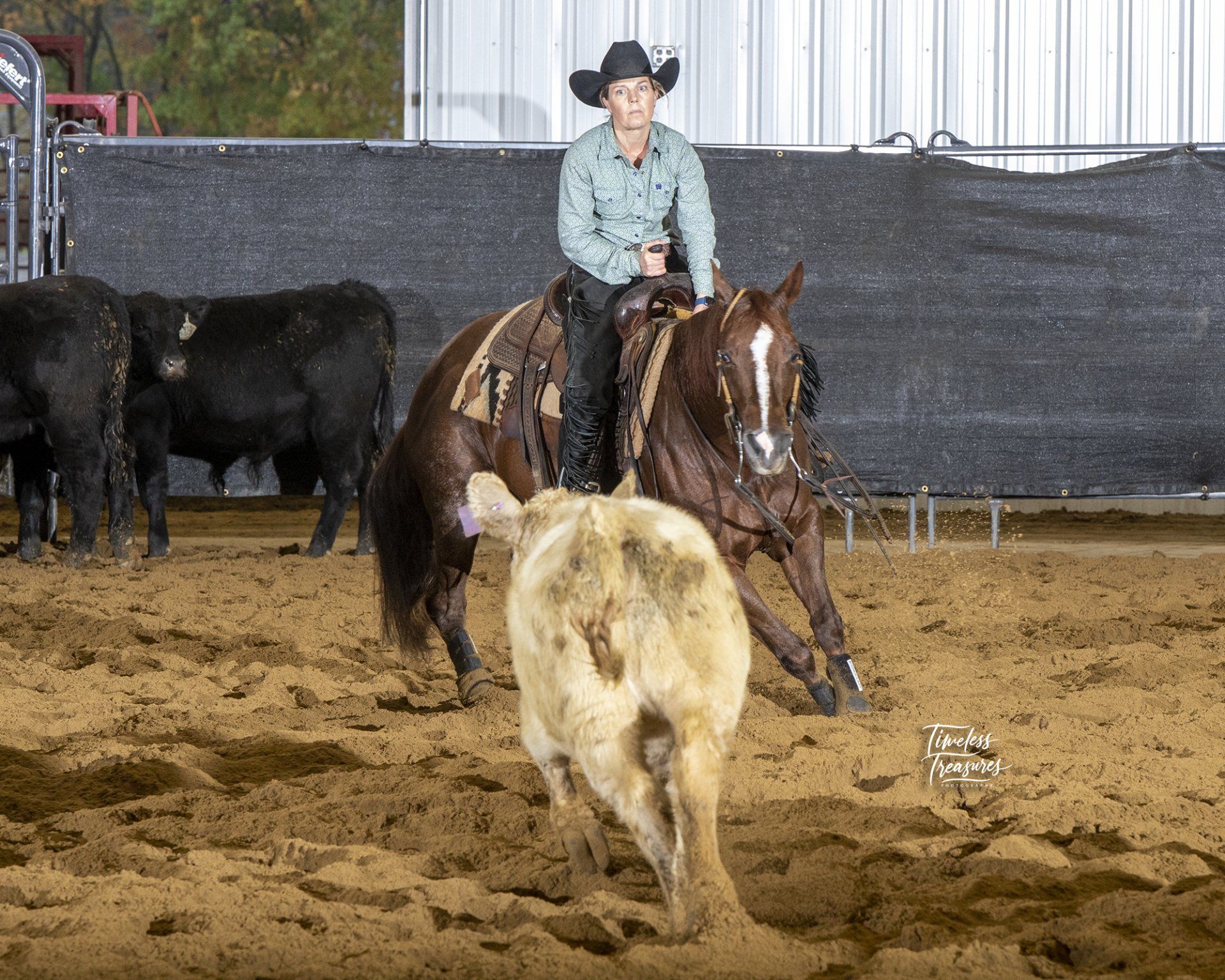 Diamond C Farm