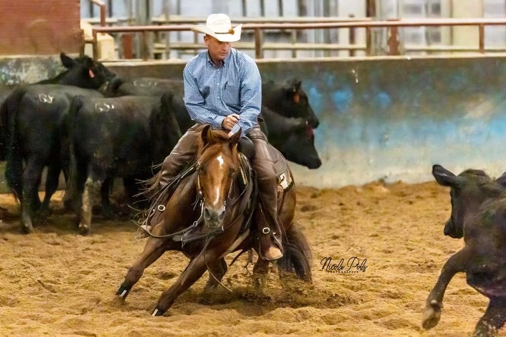 Diamond C Farm cutting horse