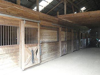 Diamond C Farm