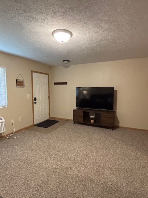 Living Room Area