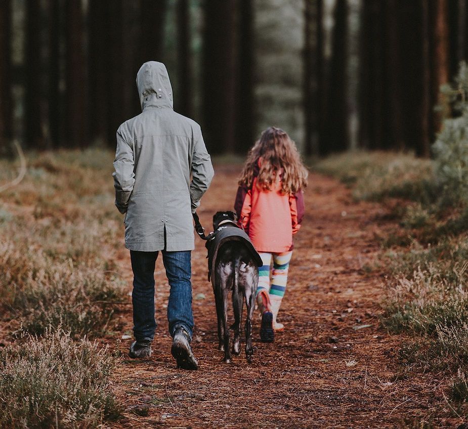 Two people and a dog walking down a forest path, seen from behind Two people and a dog walking down a forest path, seen from behind