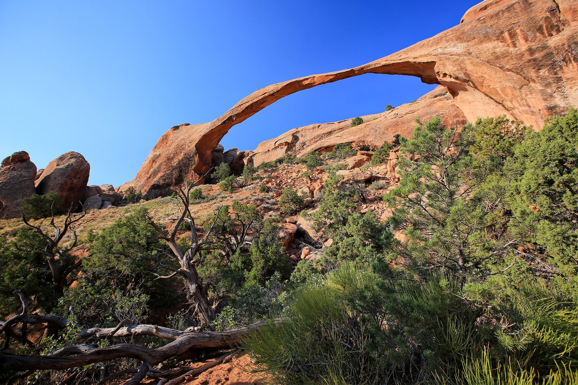 Landscape Arch in Arches National Park against a deep blue sky.