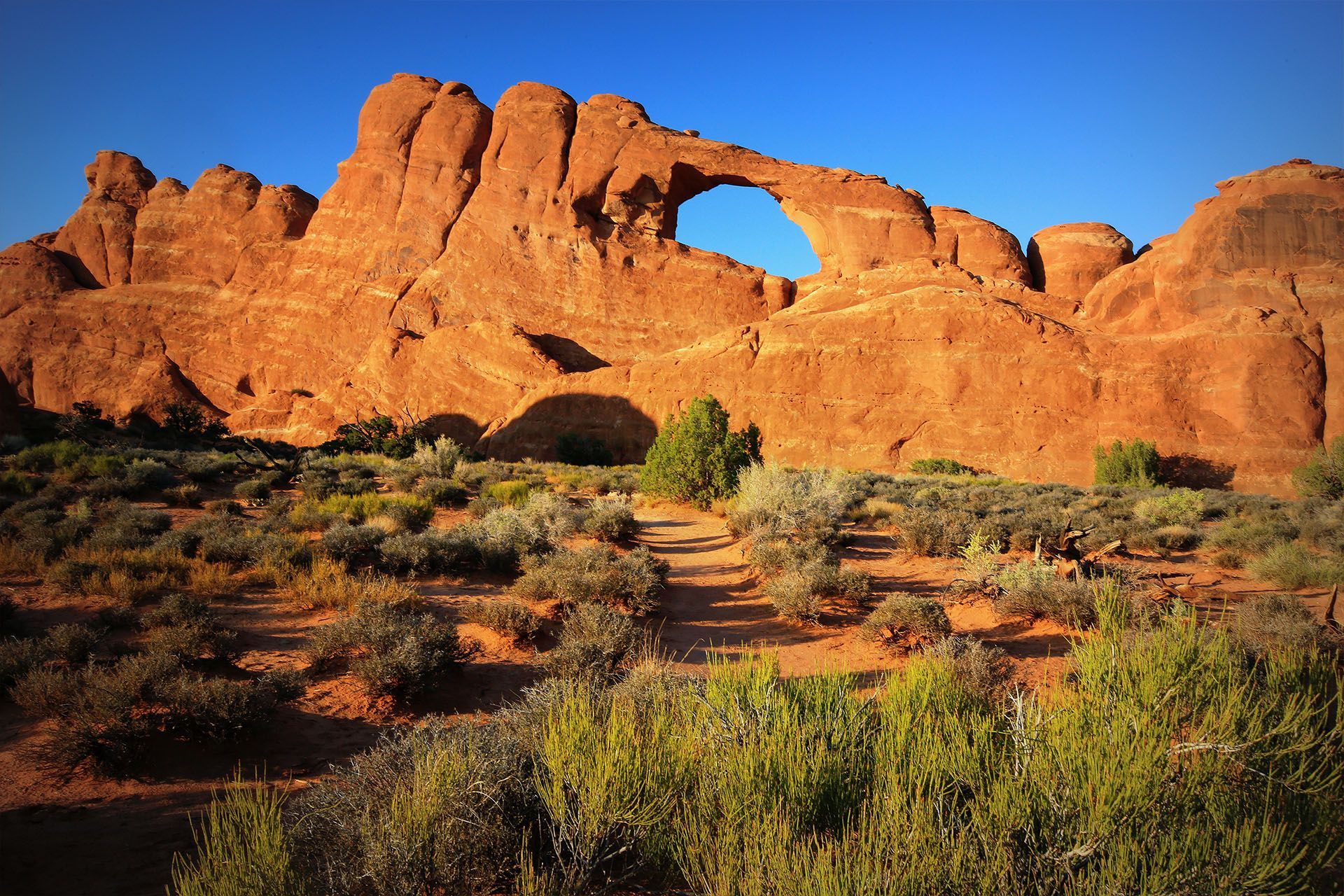 Sandstone arch against a blue sky near Devil's Garden Campground.