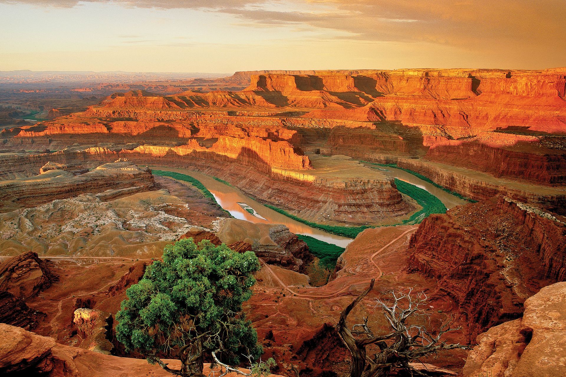 Dead Horse Point State Park overlook with the Colorado River and dramatic canyons in the distance.
