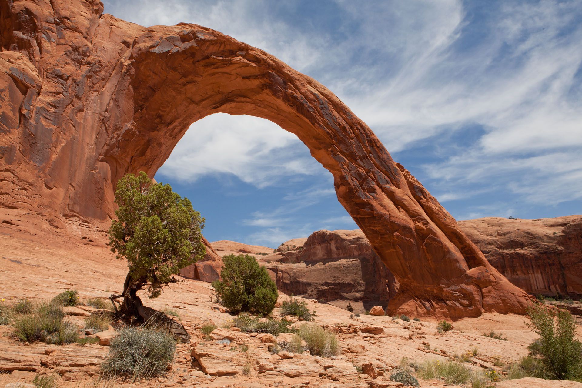 Corona Arch with juniper trees and partly cloudy sky above.