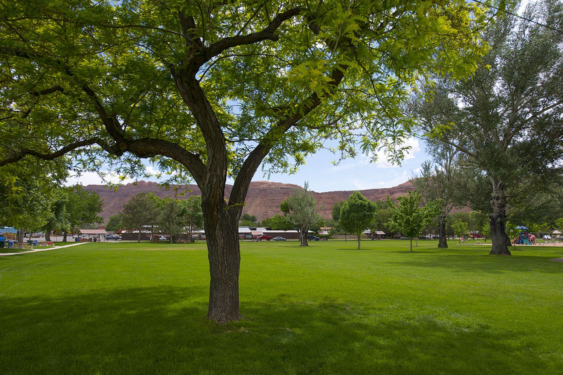 Green grass in a park with trees, vehicles and red rock mountains in the background under a blue sky.