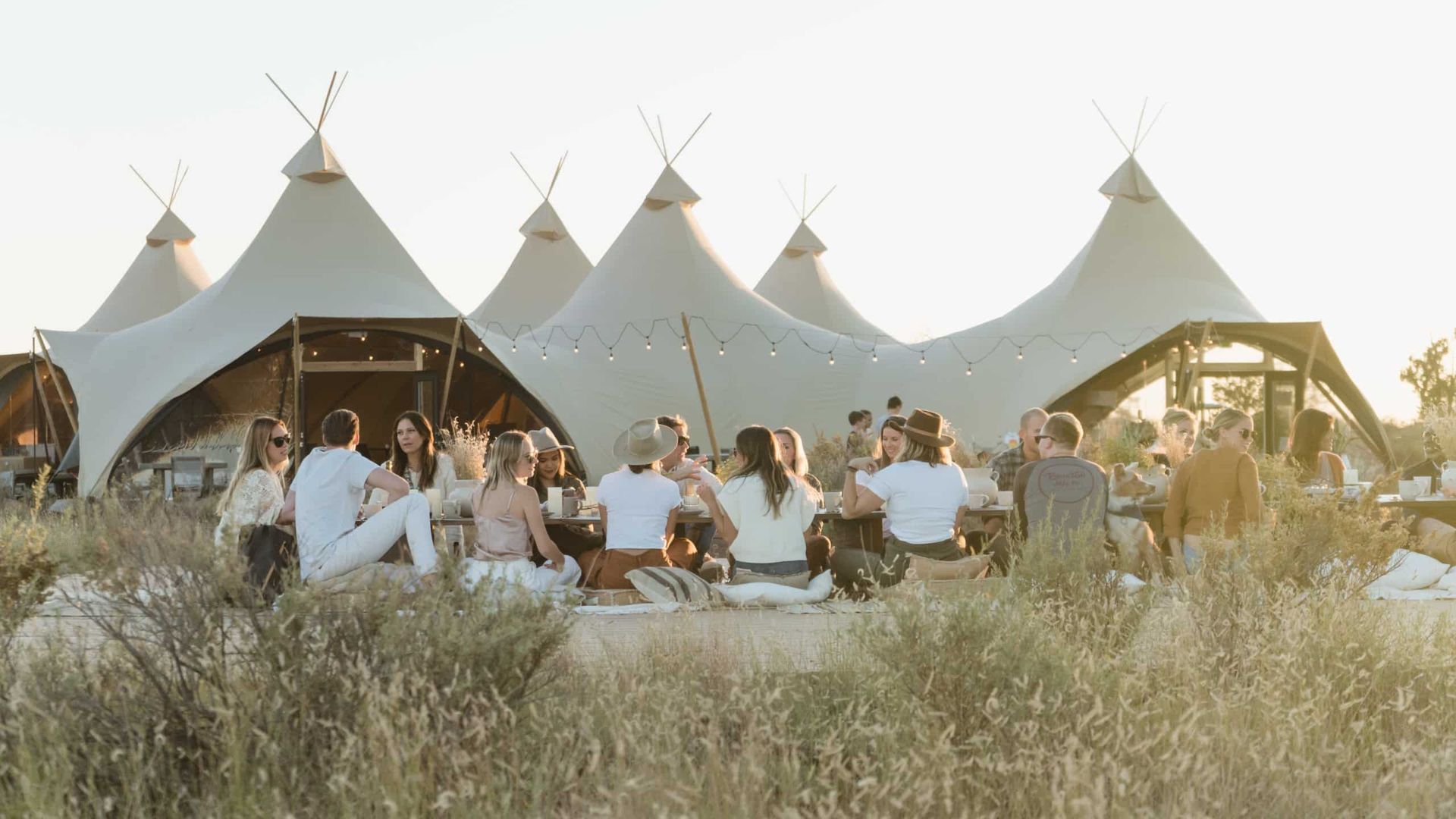 Glamping tent with wooden chairs on a deck, surrounded by plants, outdoors.