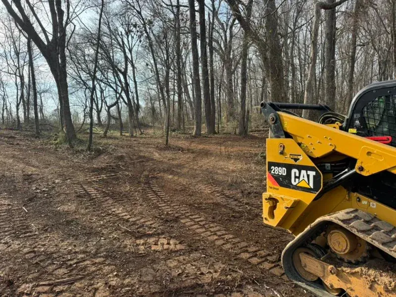 Yellow CAT skid steer in a muddy wooded clearing with bare trees and tire tracks