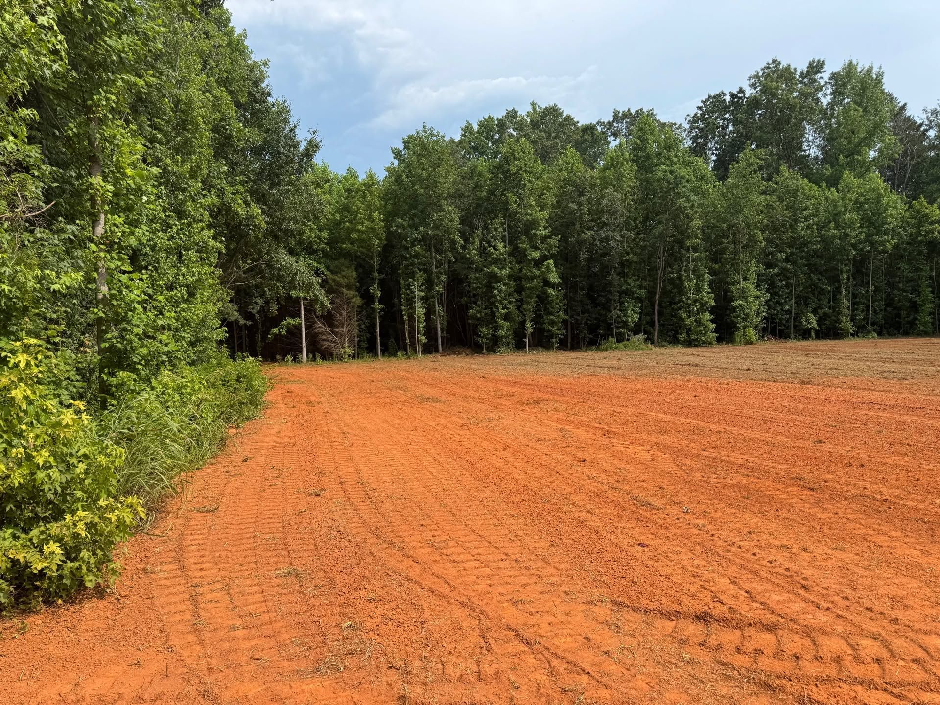 Orange dirt field beside a dense green forest under a blue sky