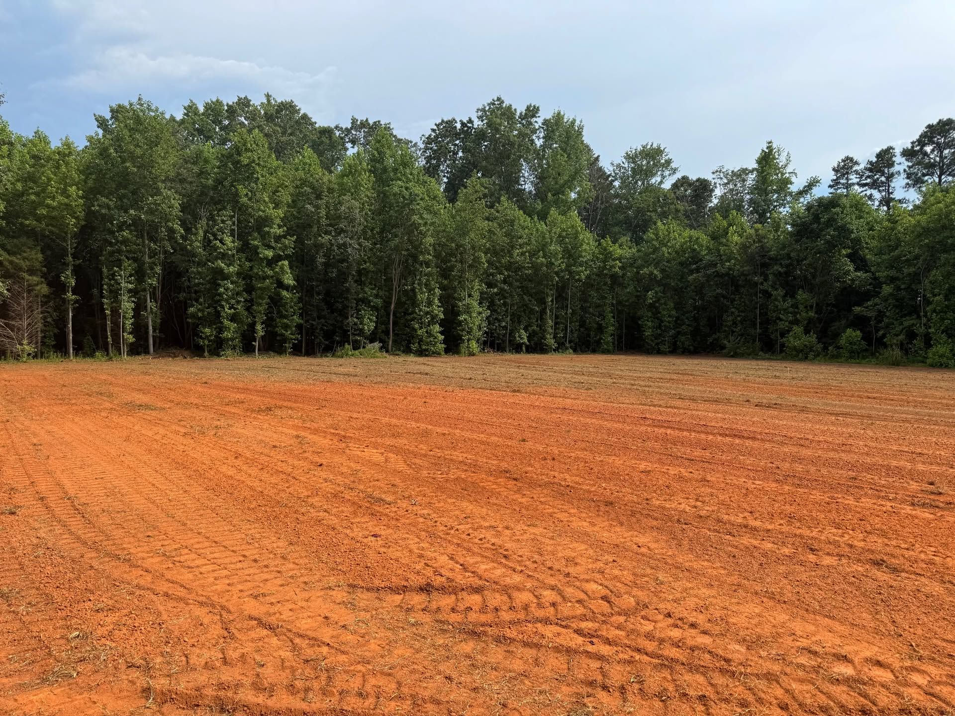 Recently tilled red field bordered by a dense green tree line under a pale sky