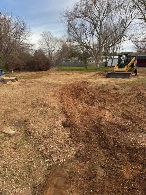Backyard dirt lot with excavator and bare trees in late fall