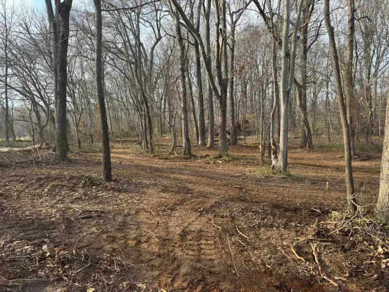 Yellow bulldozer clearing brush in a dirt field with trees in the background