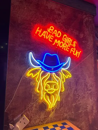 Neon cowboy skull sign with red “Bad Girls Have More Fun” text on a brick wall