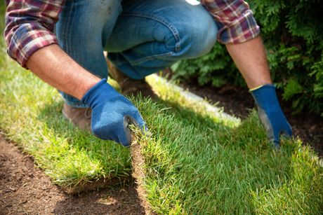 three rolls of turf are sitting on the ground in a garden