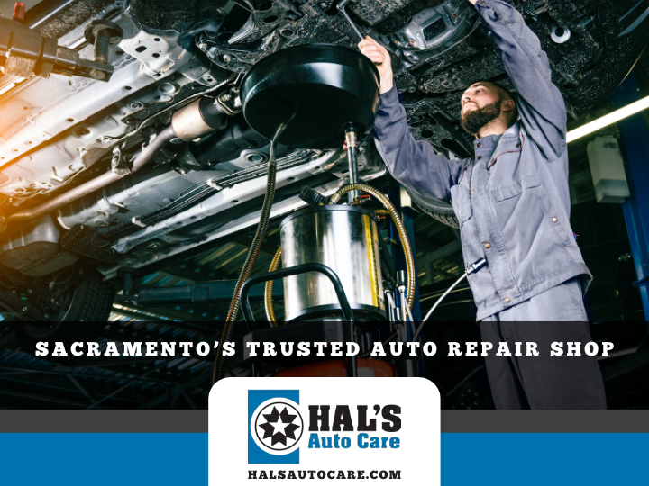 Mechanic under car, draining oil into a container at Hal's Auto Care in Sacramento. | Hal's Auto Care