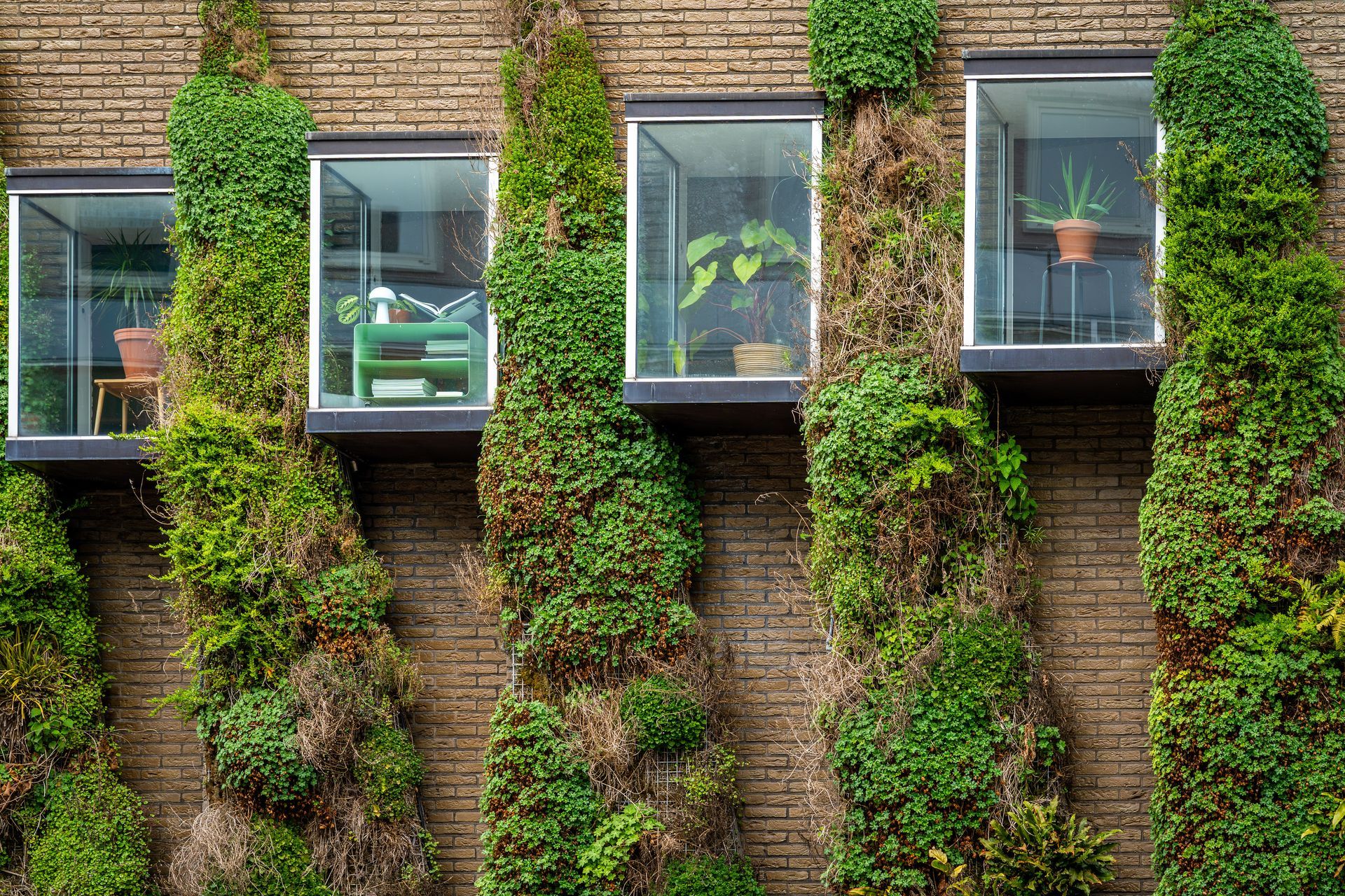 Brick building with climbing green plants around windows, interior visible.