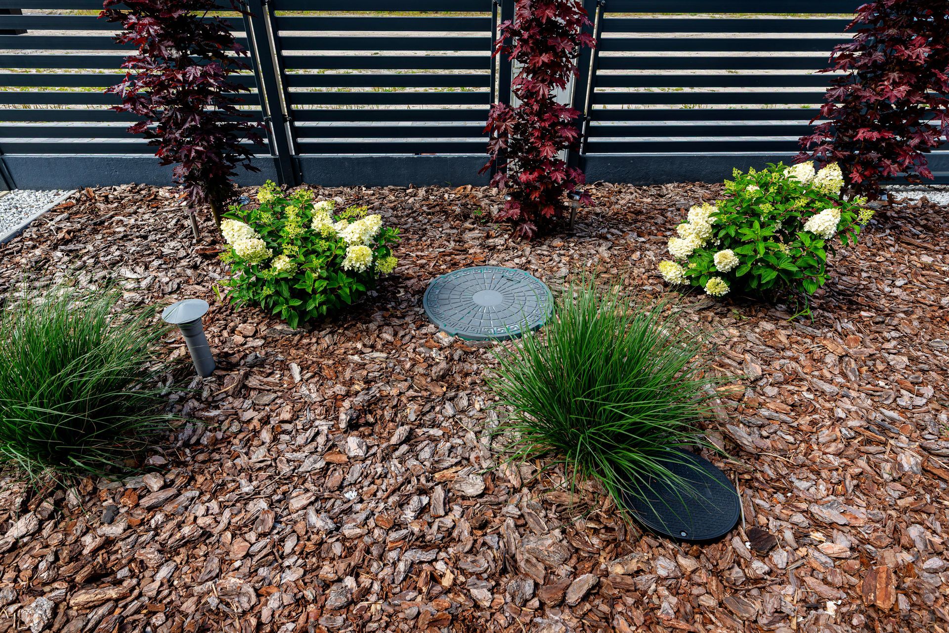 A garden bed with mulch, two flowering hydrangea bushes, two ornamental grasses, and utility access covers near a fence.
