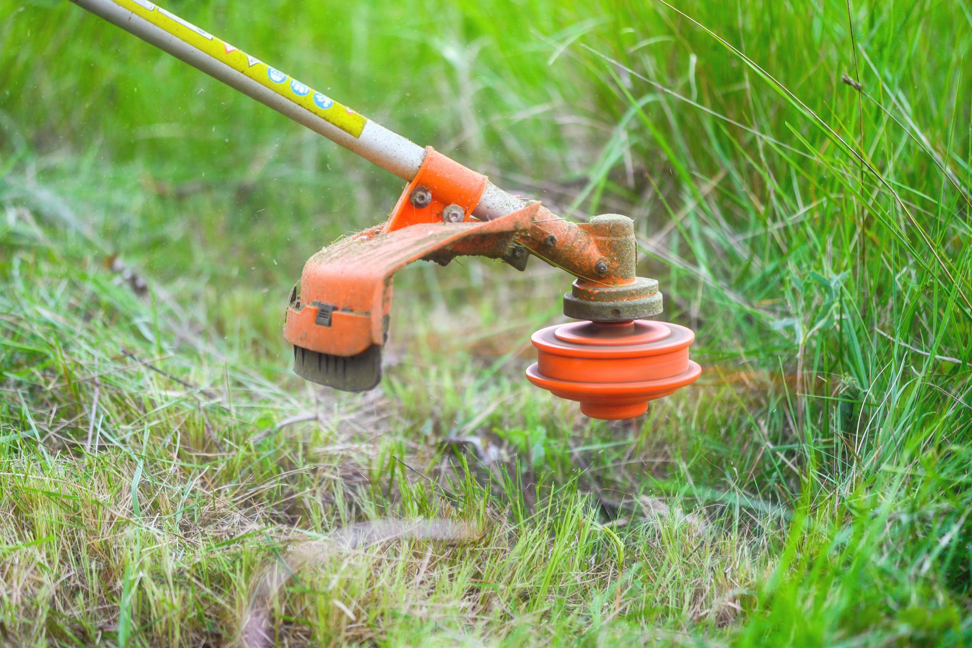 String trimmer cutting tall grass. Orange, white, and green color scheme.