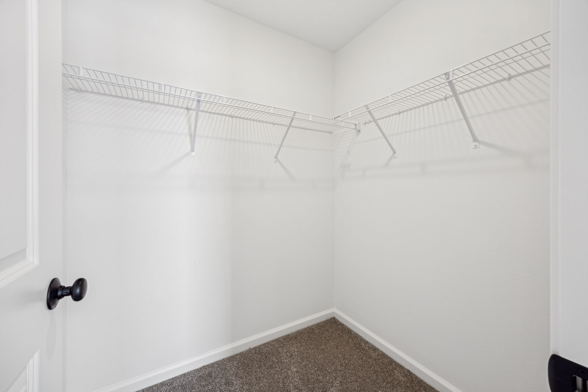 Empty white walk-in closet with wire shelving and a closed door with a black doorknob. Carpeted floor.