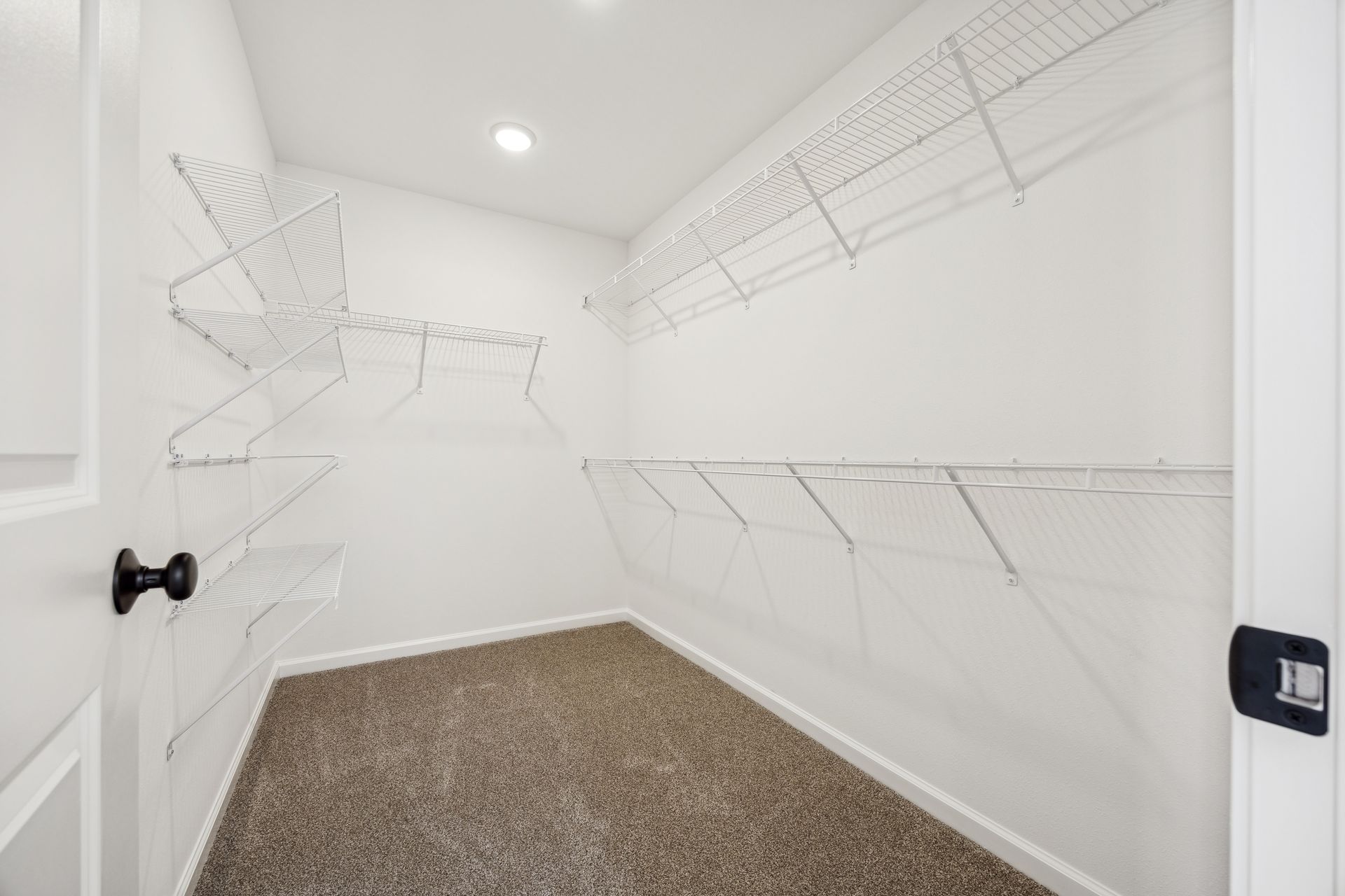Empty white closet with wire shelving and beige carpet.