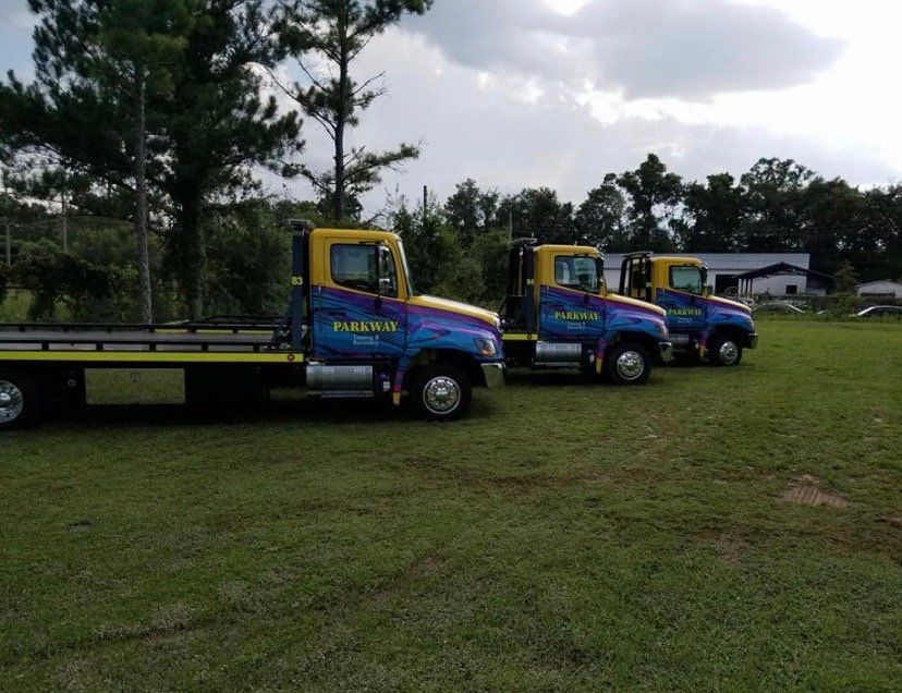 A field with three parked trucks, framed by a backdrop of trees.