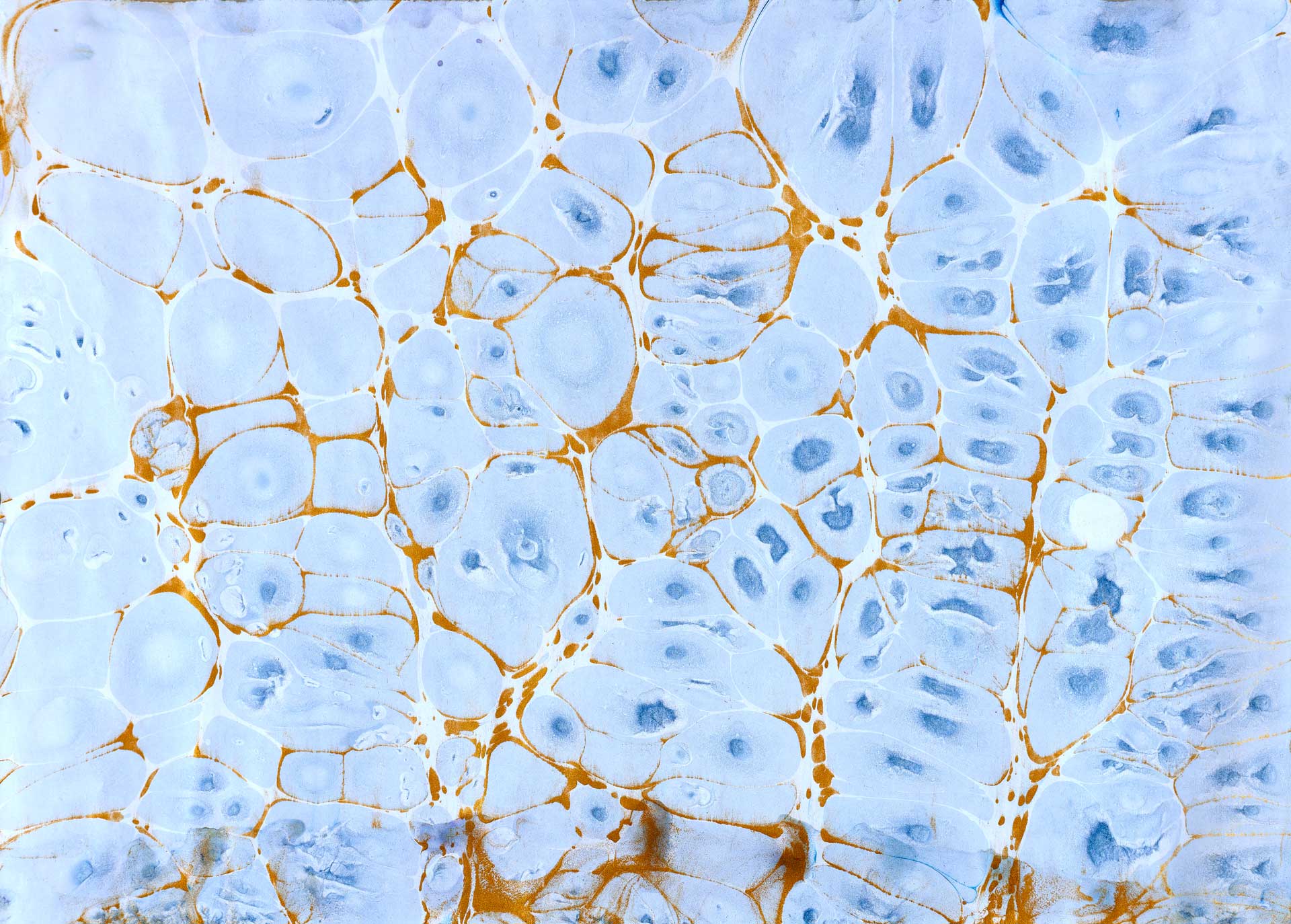 Ebru-Bild  