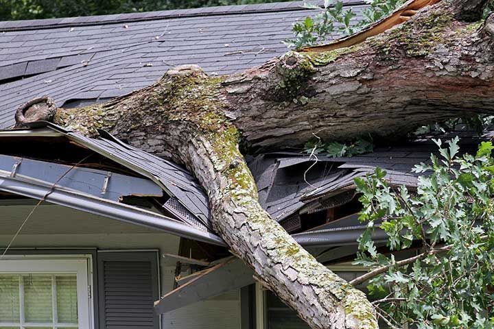 Storm Damage Repair