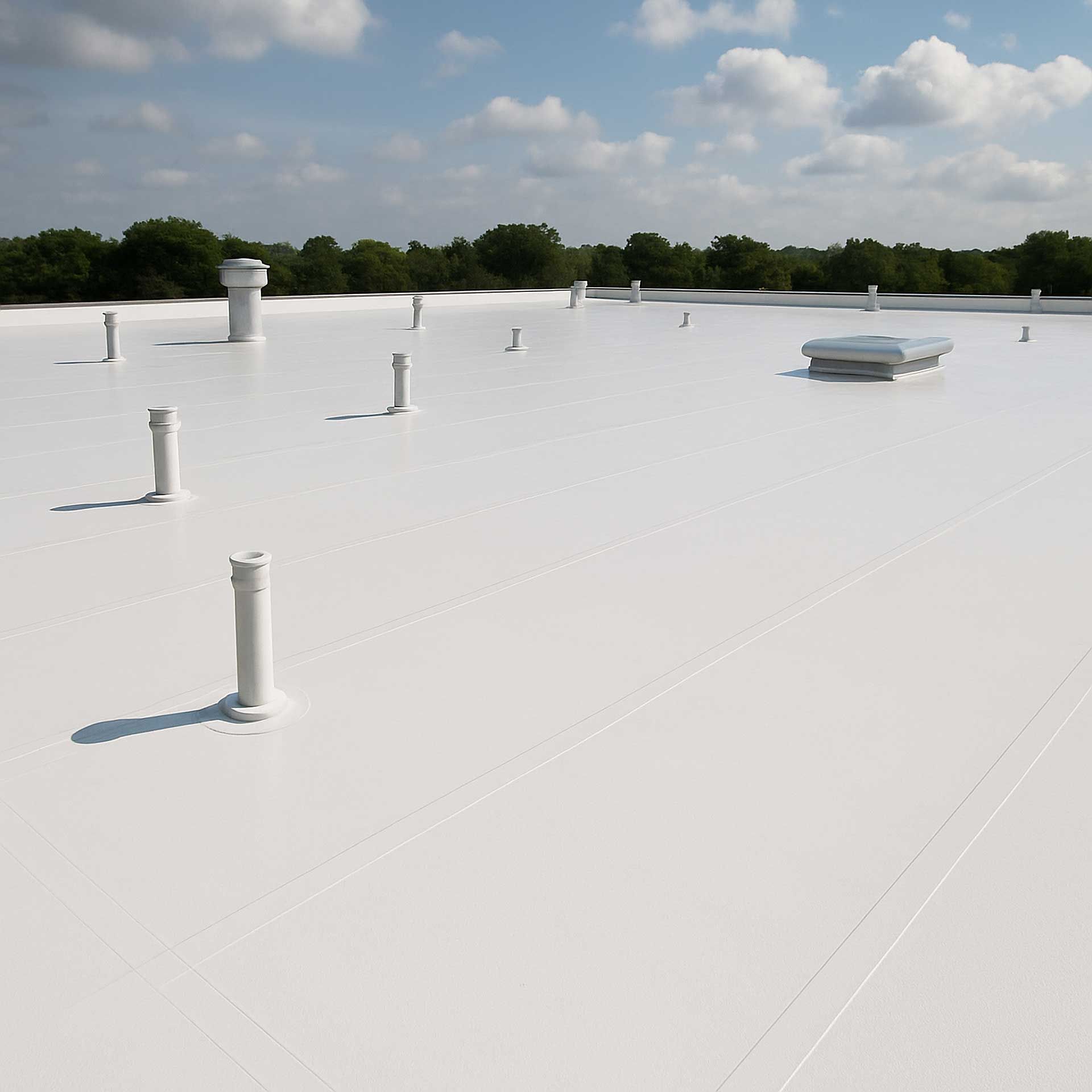 flat roof services