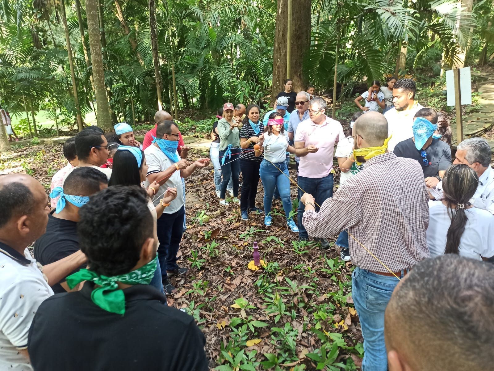 Un grupo de personas está de pie en círculo en el bosque.