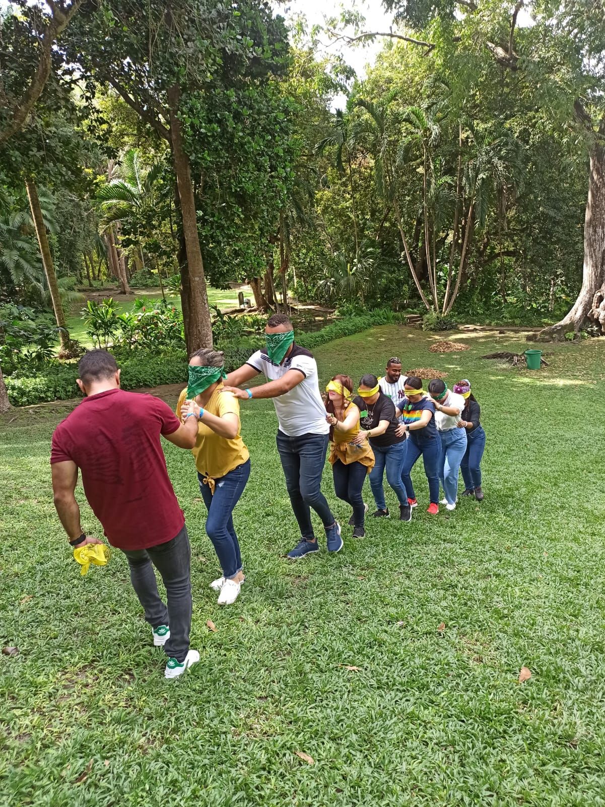 Un grupo de personas está jugando un juego en un parque.
