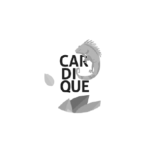Un logotipo en blanco y negro con un lagarto y las palabras car di que.